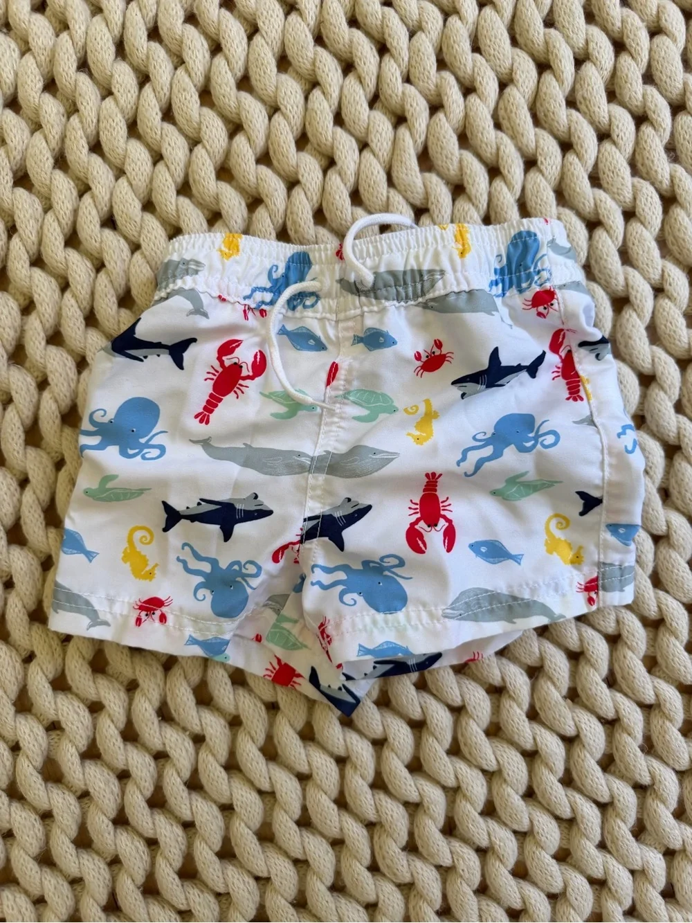 Janie and Jack Baby Swim Trunks with Colorful Sea Creatures - size 6-12m